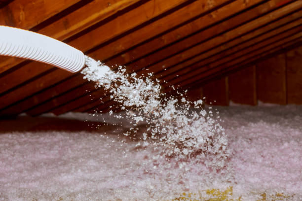 Best Insulation Replacement Services  in Maryvle, IL