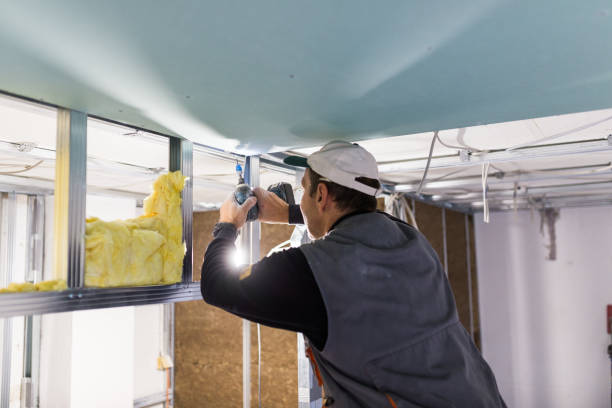 Attic Insulation Near Me in Maryville, IL