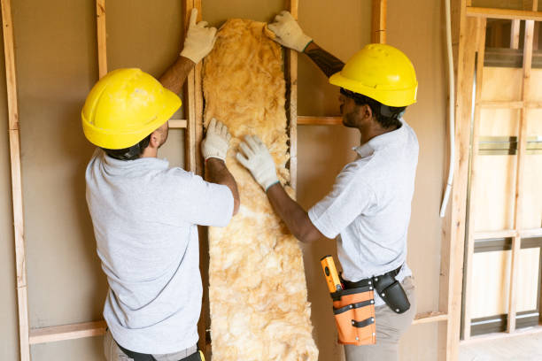 Best Home Insulation Services  in Maryvle, IL