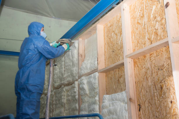 Best Cellulose Insulation  in Maryvle, IL